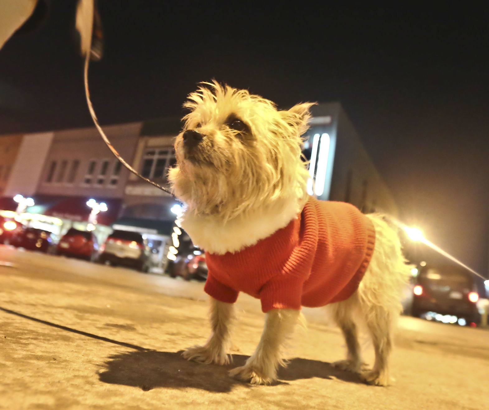 Christmas Walk 5 12.05.18.JPG